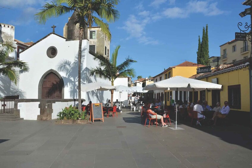 Picture 4 for Activity Botanical Garden & Funchal Old Town Private Tuk Tuk Tour