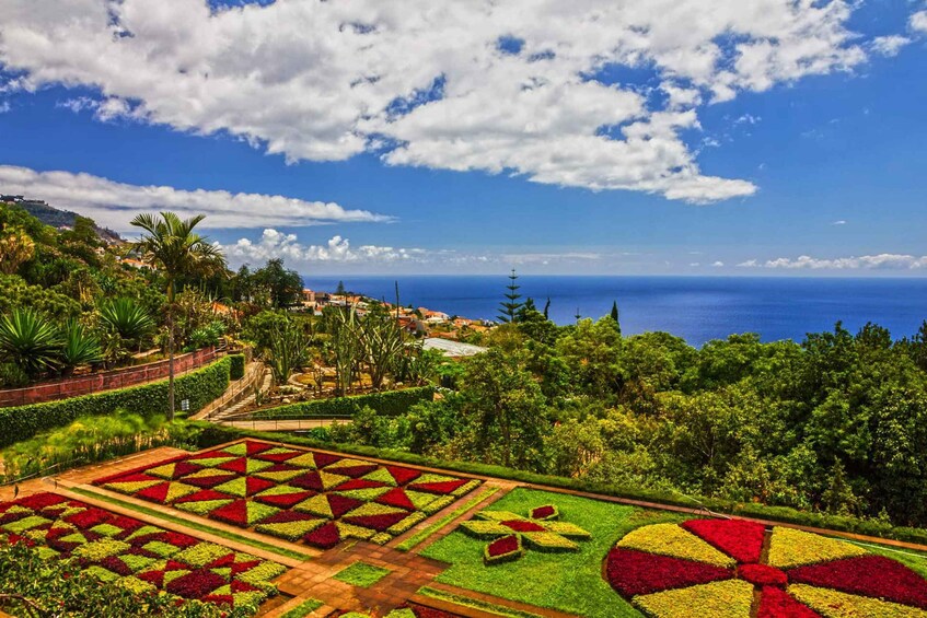 Picture 1 for Activity Botanical Garden & Funchal Old Town Private Tuk Tuk Tour