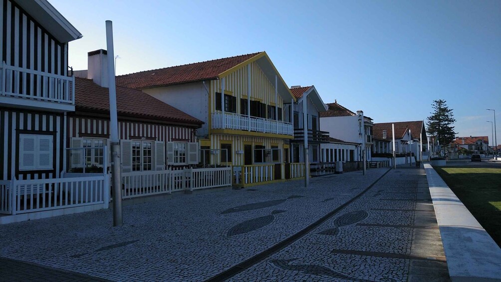 Picture 2 for Activity From Porto Private Tour Half Day in Aveiro and Costa Nova