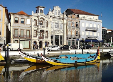 From Porto Private Tour Half Day in Aveiro and Costa Nova