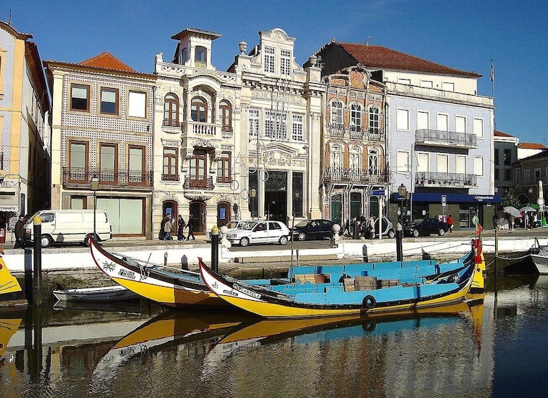 From Porto Private Tour Half Day in Aveiro and Costa Nova