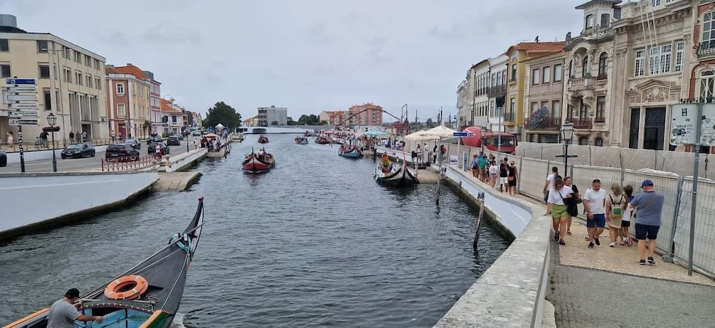 Picture 3 for Activity From Porto Private Tour Half Day in Aveiro and Costa Nova