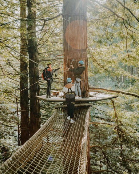 Picture 7 for Activity Rotorua: Redwoods Altitude High Ropes Adventure