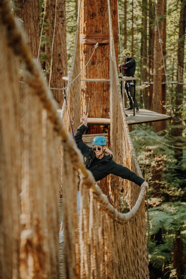 Picture 8 for Activity Rotorua: Redwoods Altitude High Ropes Adventure