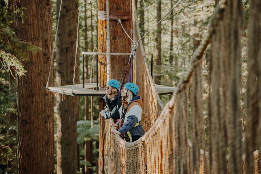 Picture 9 for Activity Rotorua: Redwoods Altitude High Ropes Adventure