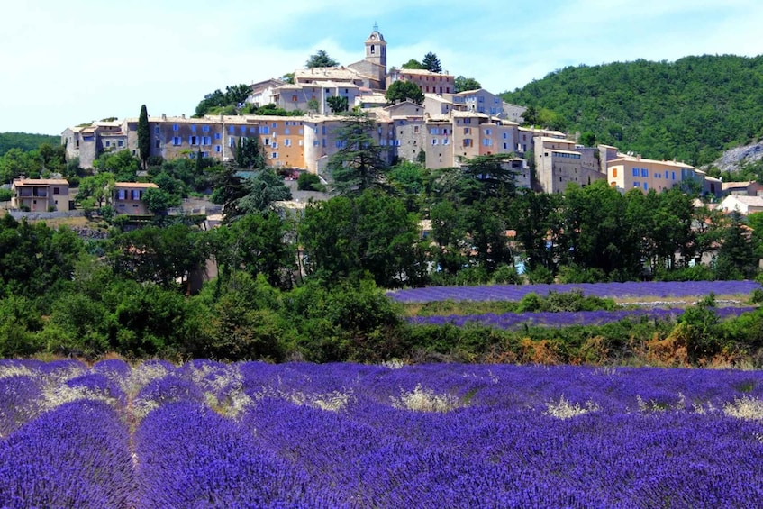 Picture 3 for Activity Day trip, the best of PROVENCE: Aix-en-Provence & Cassis