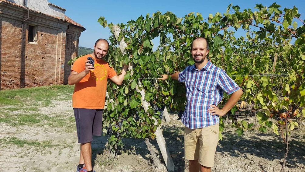 Picture 3 for Activity Degustazione di vini del Monferrato con visita della cantina