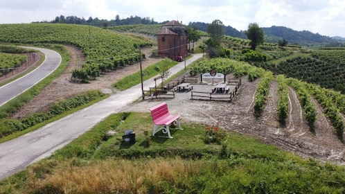 Degustazione di vini del Monferrato con visita della cantina