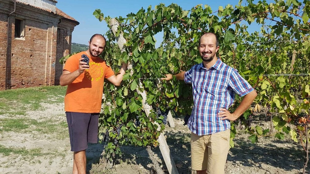 Picture 3 for Activity Degustazione di vini del Monferrato con visita della cantina