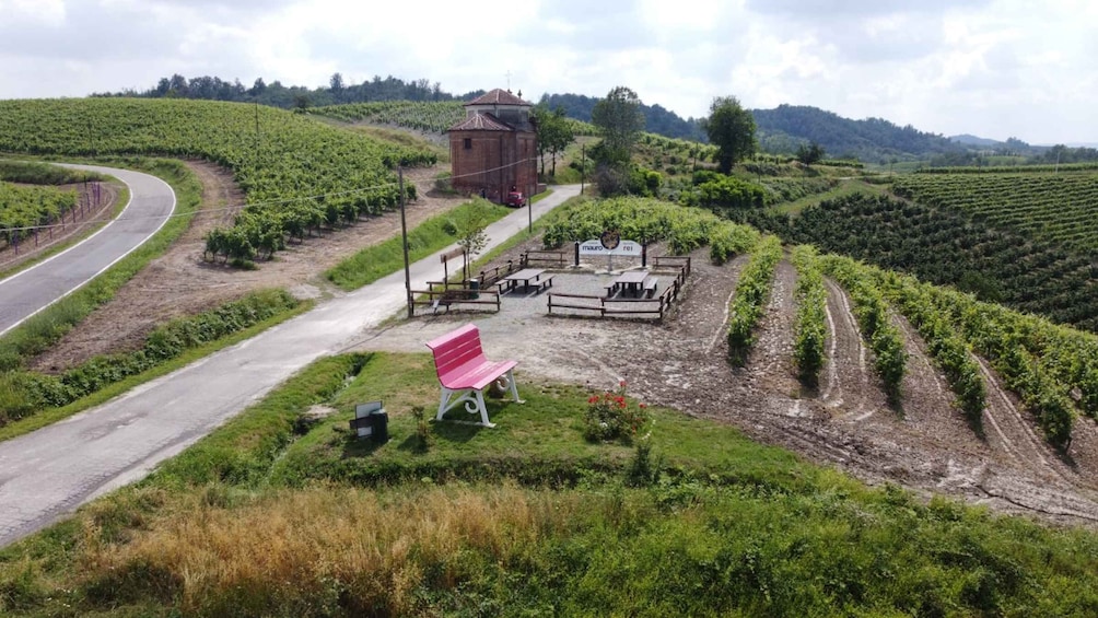 Degustazione di vini del Monferrato con visita della cantina