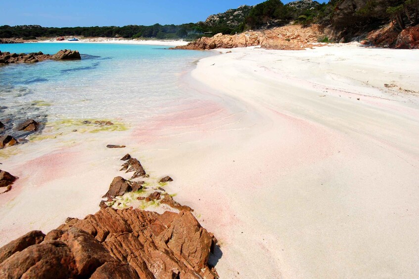 Picture 9 for Activity From La Maddalena or Palau: Archipelago Boat Tour