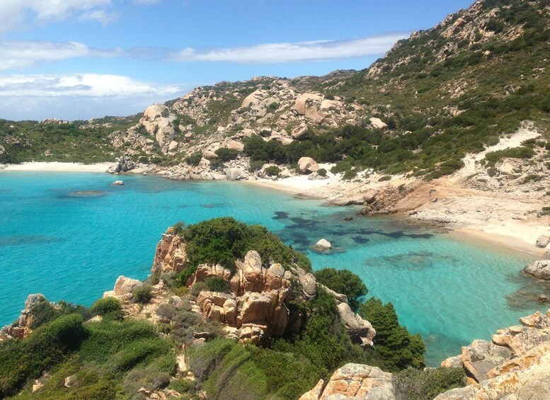 Picture 1 for Activity From La Maddalena or Palau: Archipelago Boat Tour