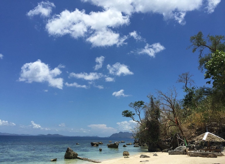 Picture 3 for Activity From Coron: Island Hopping Boat Day Trip with Buffet Lunch