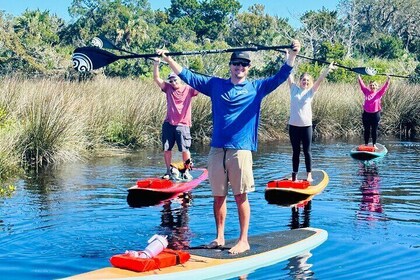 Ormond Beach Manatee and Nature Tour Kayaking or Paddle Boarding