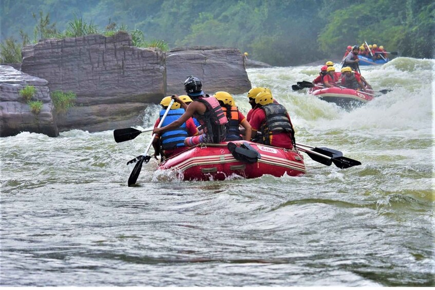 Picture 4 for Activity From Kandy: Kithulgala White Water Rafting Adventure