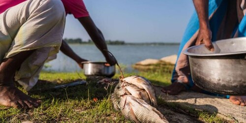 SriLankan Village Delight: Fish,Cook,Savor Lunch Experience