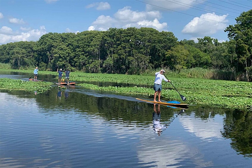 Picture 2 for Activity Sanford: Guided SUP or Kayak Manatee-Watching Tour