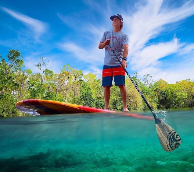 Sanford: Guided SUP or Kayak Manatee-Watching Tour