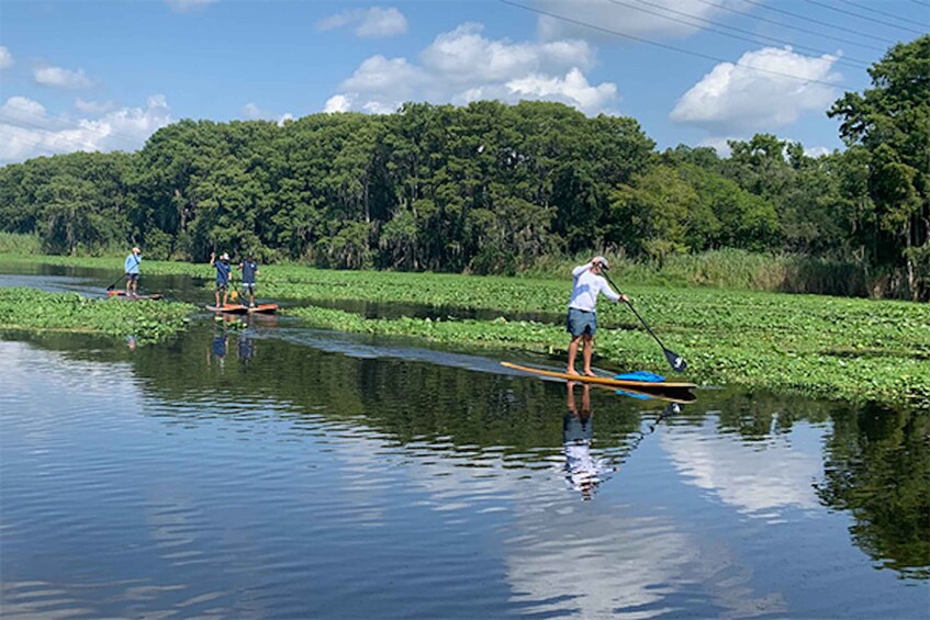 Picture 2 for Activity Sanford: Guided SUP or Kayak Manatee-Watching Tour