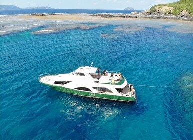 Naha:Kerama Islands 2 Fun Dive/Whale watching Limited time