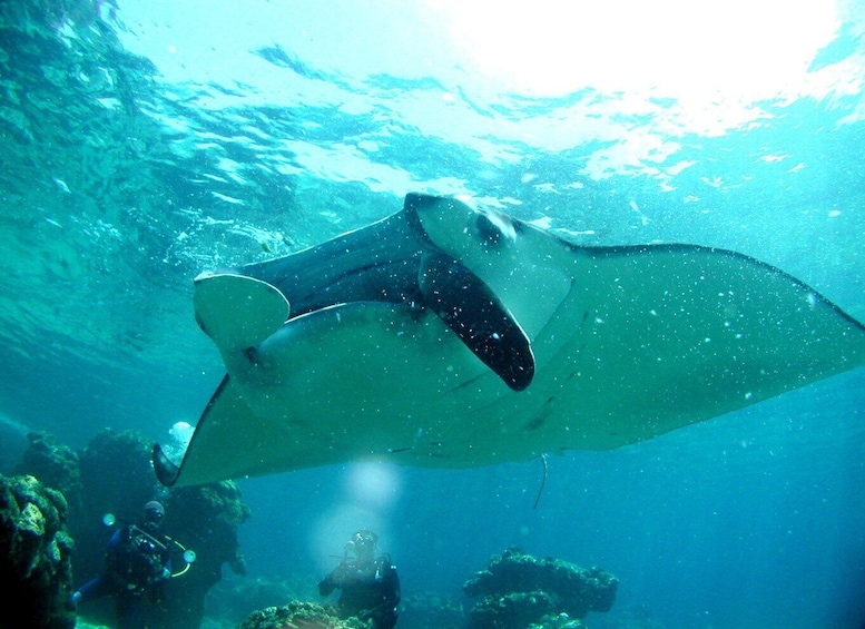 Picture 1 for Activity National Park Kerama Islands 2 boat fan diving (with rental)