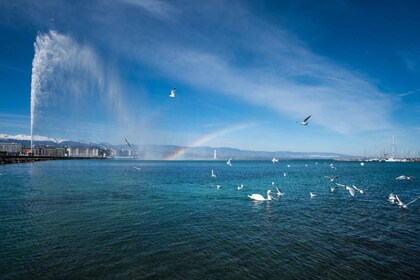 Genève : Croisière panoramique sur le lac avec des collations et du vin