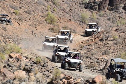 Las Palmas: Gran Canaria Guided Buggy Tour