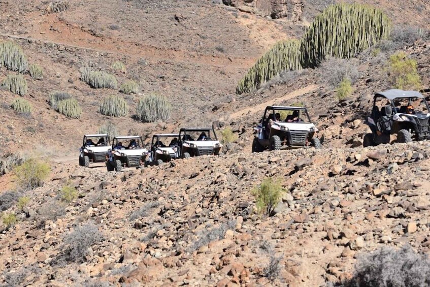 Picture 3 for Activity Las Palmas: Gran Canaria Guided Buggy Tour