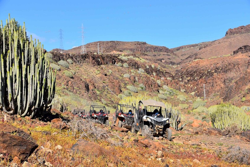 Picture 7 for Activity Las Palmas: Gran Canaria Guided Buggy Tour