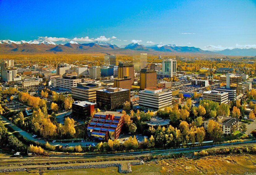 Picture 3 for Activity City of Anchorage Sightseeing & Food Van Tour-New for 2024!