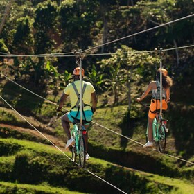 Puerto Rico: Toro Verde Avonturenpark Zipline Bike Ticket