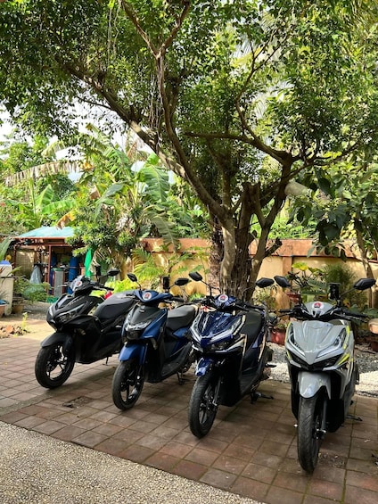 Picture 4 for Activity Self- Drive Motorcycle Rental (Scooter) - Puerto Princesa