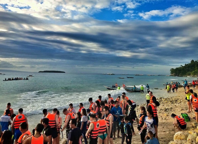 Picture 2 for Activity Cebu: Oslob Whale Shark Swimming