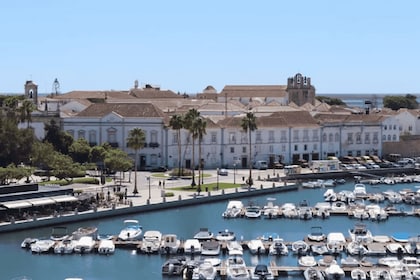 Fra Albufeira: Heldagstur til Algarve Østs fineste steder