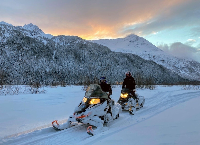 Picture 16 for Activity Seward: Kenai Fjords National Park Guided Snowmobiling Tour