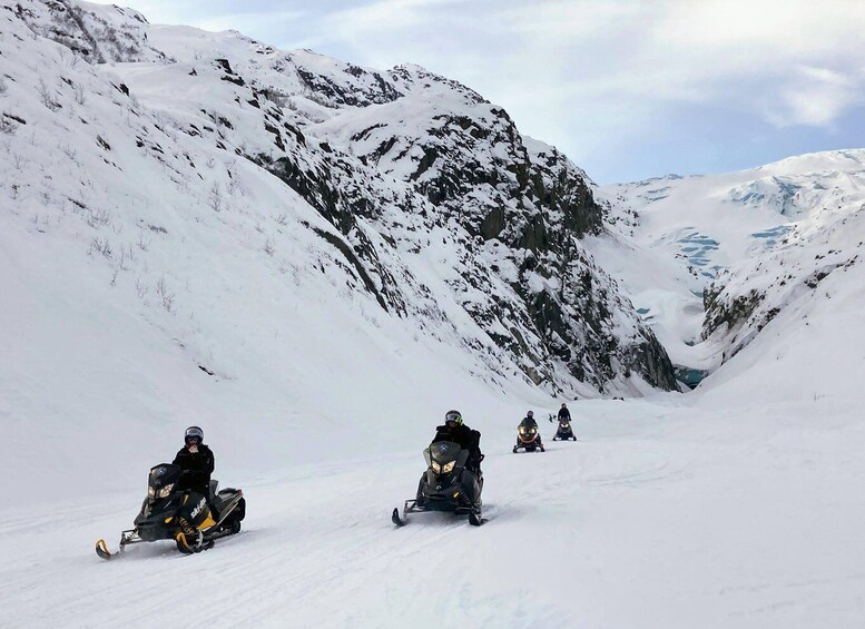 Picture 19 for Activity Seward: Kenai Fjords National Park Guided Snowmobiling Tour