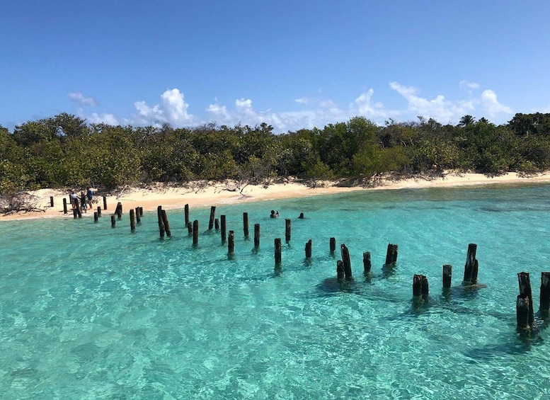 Picture 2 for Activity Fajardo: Icacos Island Catamaran Tour, Snorkeling & Lunch