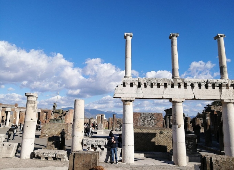 Picture 8 for Activity Private Guided Tour Of Pompeii