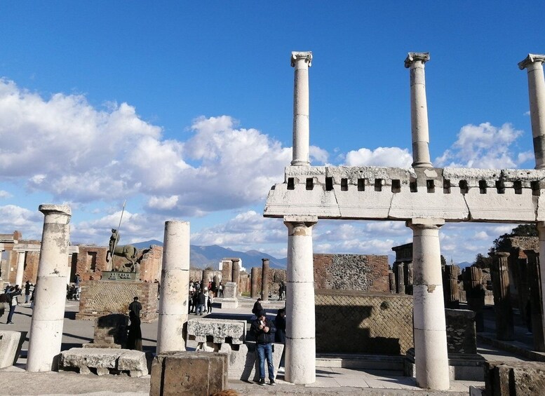 Picture 8 for Activity Private Guided Tour Of Pompeii