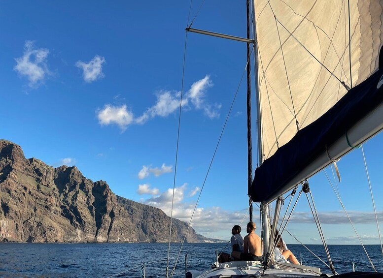 Picture 6 for Activity Los Gigantes: Private Sailing Tour with Swim, Drink, & Tapas