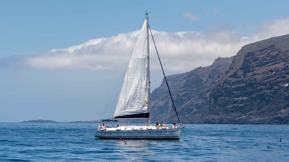 Los Gigantes: Private Sailing Tour with Swim, Drink, & Tapas