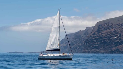 Los Gigantes: Private Sailing Tour with Swim, Drink, & Tapas