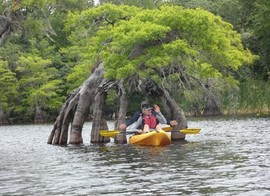 Orlando's Lake Norris: 5-stündige Kajak-Explorertour mit Mittagessen