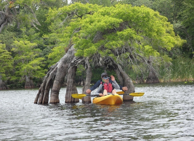 Orlando's Lake Norris: 5-Hour Kayak Explorer Tour with Lunch