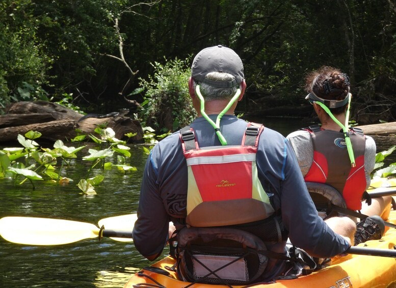 Picture 13 for Activity Orlando's Lake Norris: 5-Hour Kayak Explorer Tour with Lunch