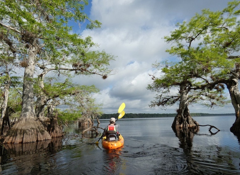 Picture 12 for Activity Orlando's Lake Norris: 5-Hour Kayak Explorer Tour with Lunch