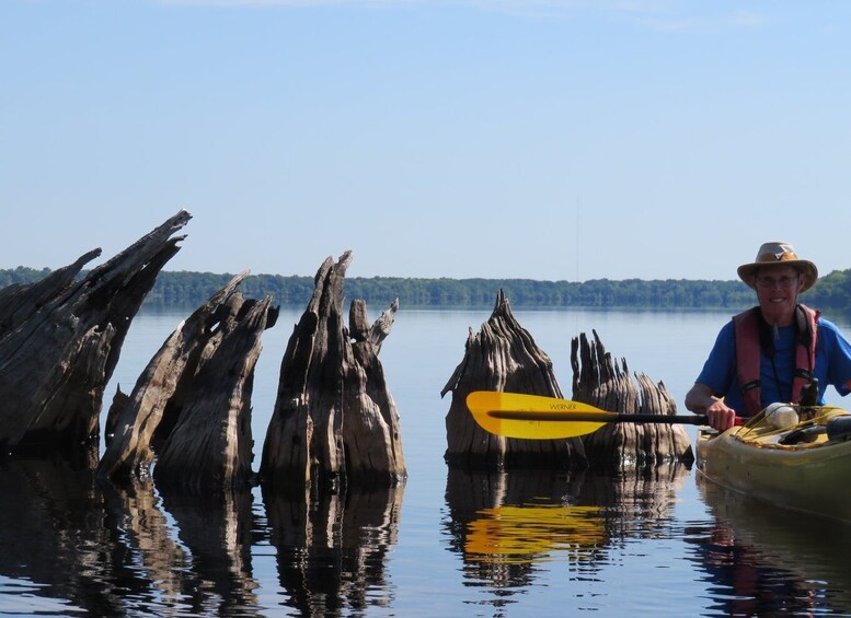 Picture 2 for Activity Orlando's Lake Norris: 5-Hour Kayak Explorer Tour with Lunch