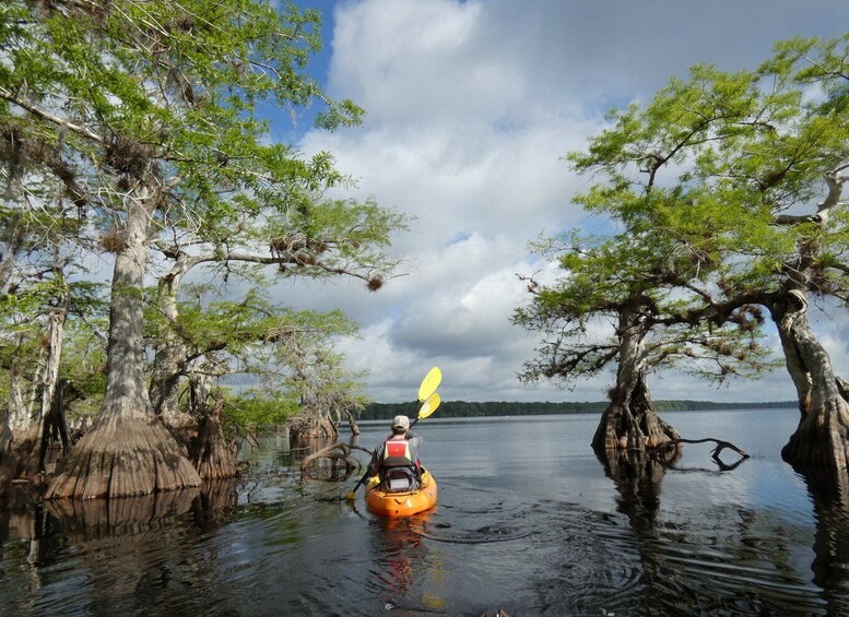 Picture 12 for Activity Orlando's Lake Norris: 5-Hour Kayak Explorer Tour with Lunch