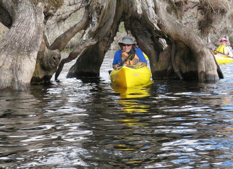 Picture 9 for Activity Orlando's Lake Norris: 5-Hour Kayak Explorer Tour with Lunch