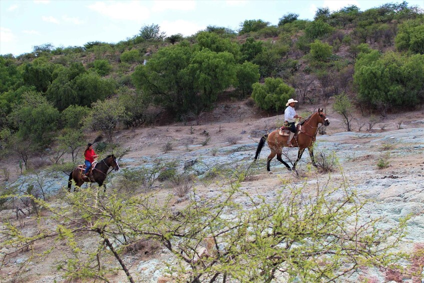 Picture 3 for Activity Guanajuato: horse ride tour